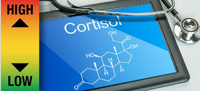 STRESS, CORTISOL AND HEALTH