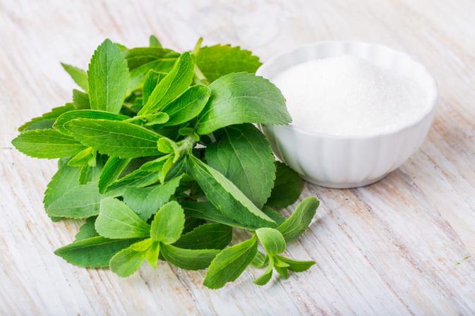 WHAT IS HAMMER NUTRITION’S RESPONSE TO NEWS ABOUT XYLITOL - Hammer Nutrition UK Official Distributor