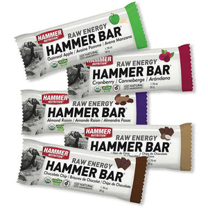 BARS (WORKOUT/ RACE) - Hammer Nutrition UK Official Distributor