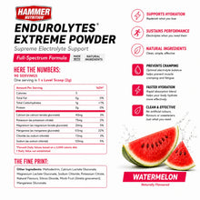 Load image into Gallery viewer, ENDUROLYTES EXTREME POWDER  – High-Strength Sodium Electrolytes
