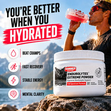 Load image into Gallery viewer, ENDUROLYTES EXTREME POWDER  – High-Strength Sodium Electrolytes