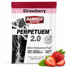 Load image into Gallery viewer, PERPETUEM – Sustained Fuel for Long Efforts (Kit)