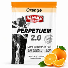 Load image into Gallery viewer, PERPETUEM – Sustained Fuel for Long Efforts (Kit)