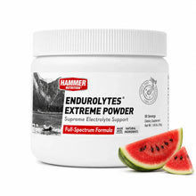 Load image into Gallery viewer, ENDUROLYTES EXTREME POWDER  – High-Strength Sodium Electrolytes