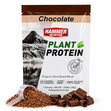Load image into Gallery viewer, Hammer Plant Protein | Clean Plant-Based Recovery &amp; Daily Protein Support
