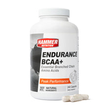 Load image into Gallery viewer, ENDURANCE AMINO (BCAA'S)
