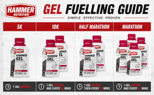 Load image into Gallery viewer, HAMMER GEL – Fast Energy Without the Crash