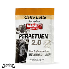 Load image into Gallery viewer, LONG DISTANCE FUEL UK | PERPETUEM ENDURANCE SACHETS - Hammer Nutrition UK Official Distributor