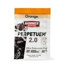 Load image into Gallery viewer, LONG DISTANCE FUEL UK | PERPETUEM ENDURANCE SACHETS - Hammer Nutrition UK Official Distributor