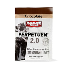 Load image into Gallery viewer, LONG DISTANCE FUEL UK | PERPETUEM ENDURANCE SACHETS - Hammer Nutrition UK Official Distributor