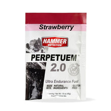 Load image into Gallery viewer, LONG DISTANCE FUEL UK | PERPETUEM ENDURANCE SACHETS - Hammer Nutrition UK Official Distributor
