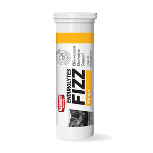 Endurolytes Fizz - Hammer Nutrition UK Official Distributor