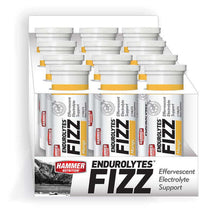 Load image into Gallery viewer, ENDUROLYTE FIZZ (HYDRATION TABLETS) - Hammer Nutrition UK Official Distributor