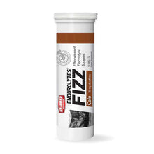 Load image into Gallery viewer, ENDUROLYTE FIZZ (HYDRATION TABLETS) - Hammer Nutrition UK Official Distributor