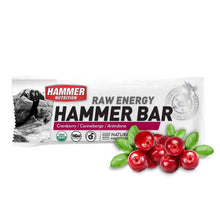 Load image into Gallery viewer, RAW ENERGY BARS (RACE/WORKOUT) - Hammer Nutrition UK Official Distributor