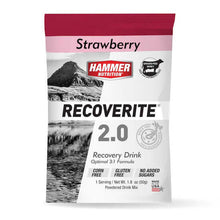 Load image into Gallery viewer, RECOVERITE SAMPLER KIT - Hammer Nutrition UK Official Distributor